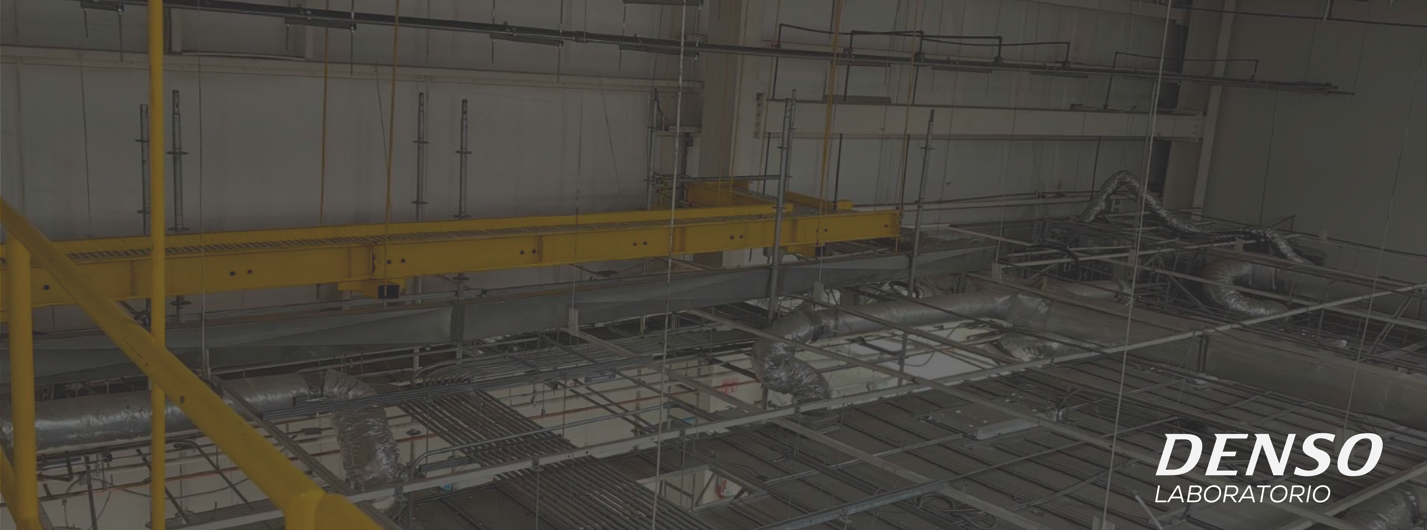 denso-laboratorio-image